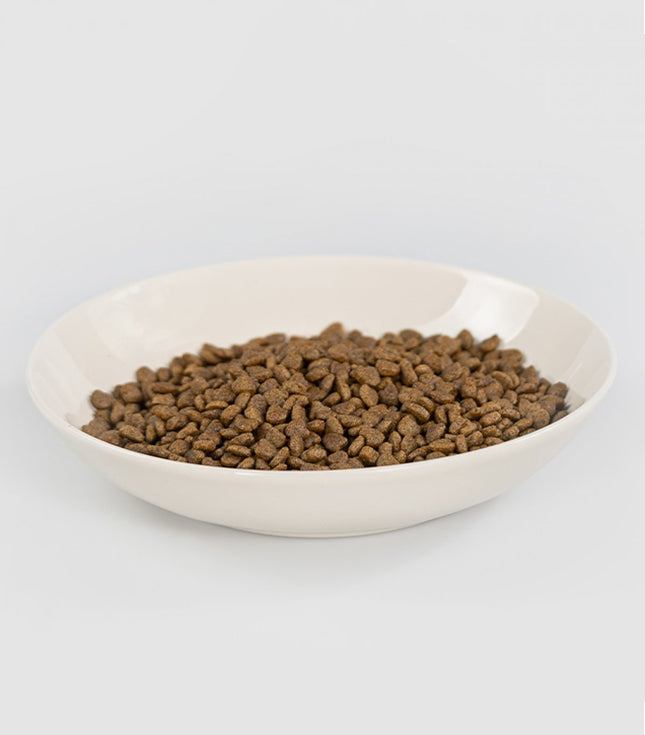 Animal World Tavuk Balık Karidesli Yavru kedi Maması 1 Kg Açık Mama