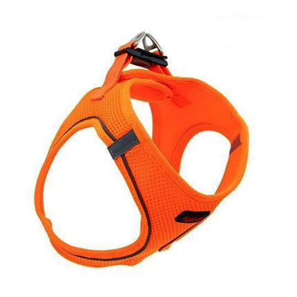 Tailpetz Air Mesh Köpek Göğüs Tasması XSmall 32x36 cm Neo Turuncu