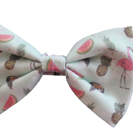 Tropic Küçük Köpek Papyonu 38 cm