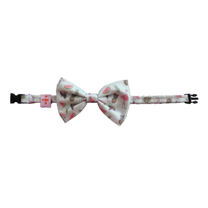 Zikzak Köpek Papyonu 26-56 Cm