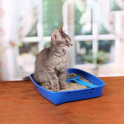 Proline Marsilya Sabun Kokulu Topaklanan Bentonit Kedi Kumu 1 Adet 10 Lt