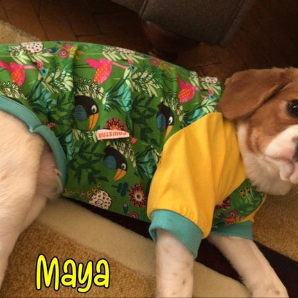 Pawstar Tukan Kedi Köpek Kıyafeti Sweat X Large