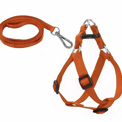 Köpek Göğüs Tasma Seti 30-50 cm Turuncu + Gezdirme Kayışı