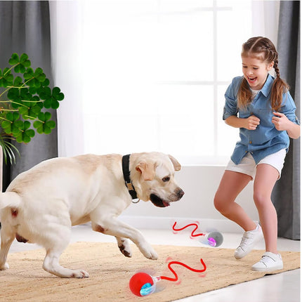 Hareketli Şarjlı Işıklı 360 Derece Dönen Akıllı Oyun Topu Kuyruklu İnteraktif Kedi Köpek Oyun Topu