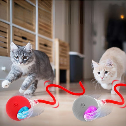 Hareketli Şarjlı Işıklı 360 Derece Dönen Akıllı Oyun Topu Kuyruklu İnteraktif Kedi Köpek Oyun Topu