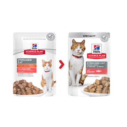 Hills Kısırlaştırılmış Somonlu Kedi Maması 85 Gr