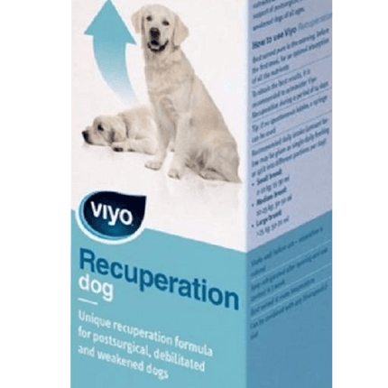 Viyo Recuperation Köpek Ek Besin Takviyesi 150 ML
