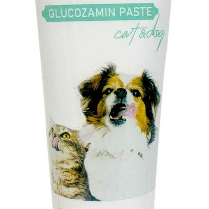 Zurich Kedi Köpek Glukozamin Paste 100 gr